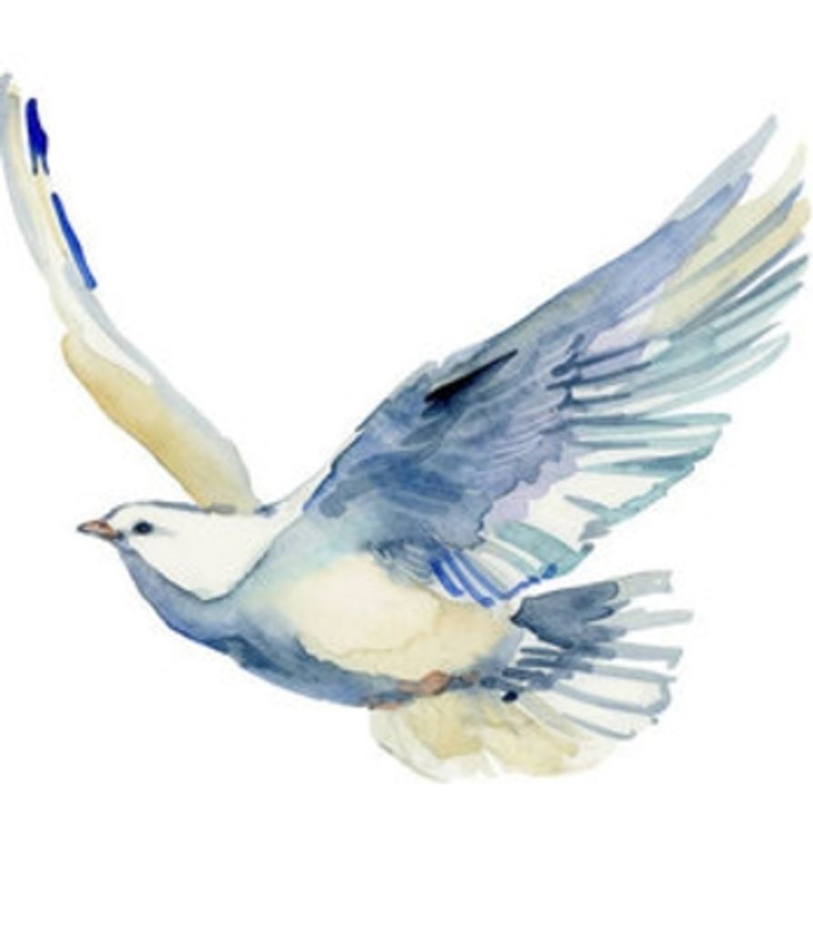 Mary J. Brusa Profile Photo