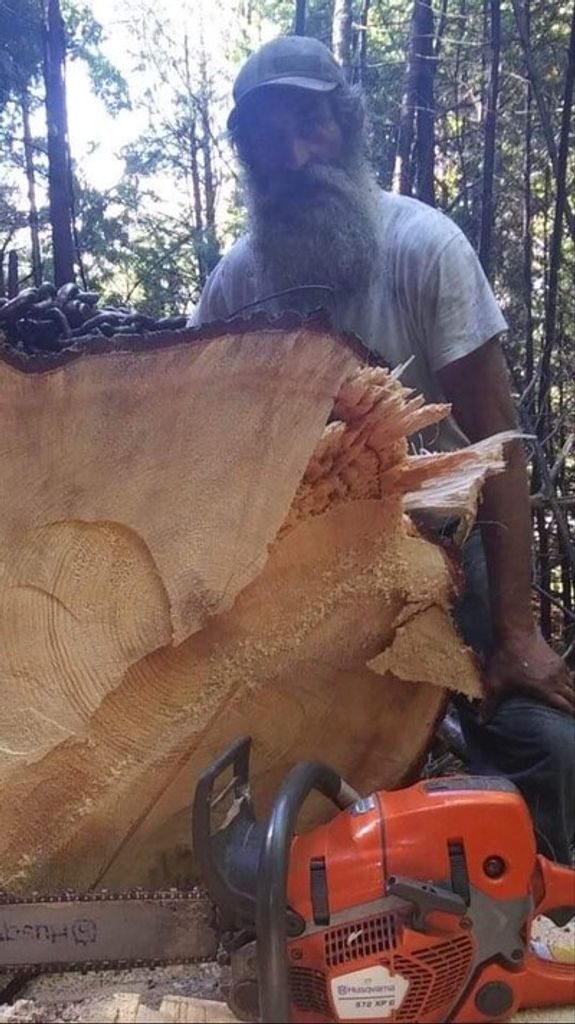 Kermit Ward Profile Photo