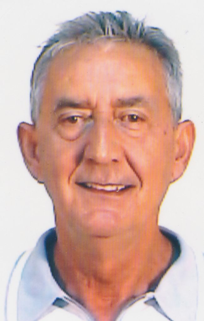 Domingo  L. Fernandez