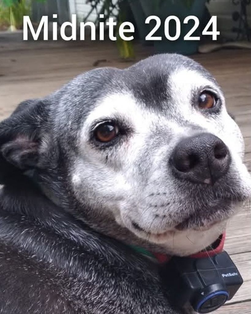 Midnite Shannon