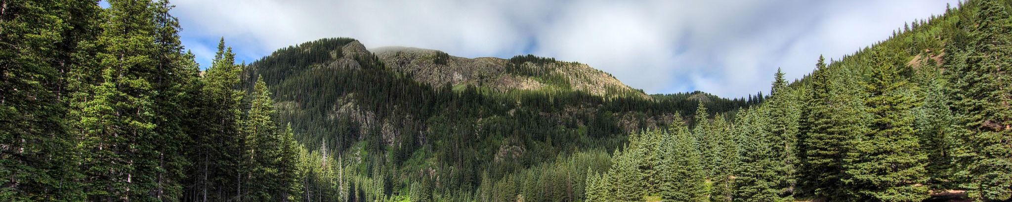 Cover for Nathan Sheffield Gay's Obituary