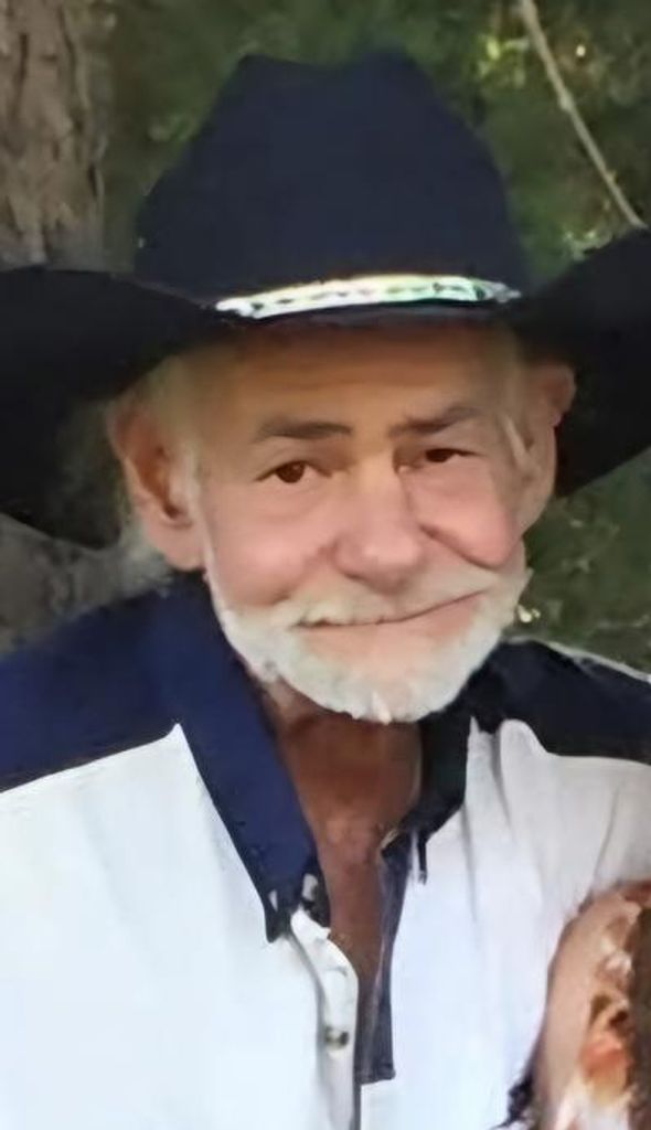 Wayne Taylor Profile Photo