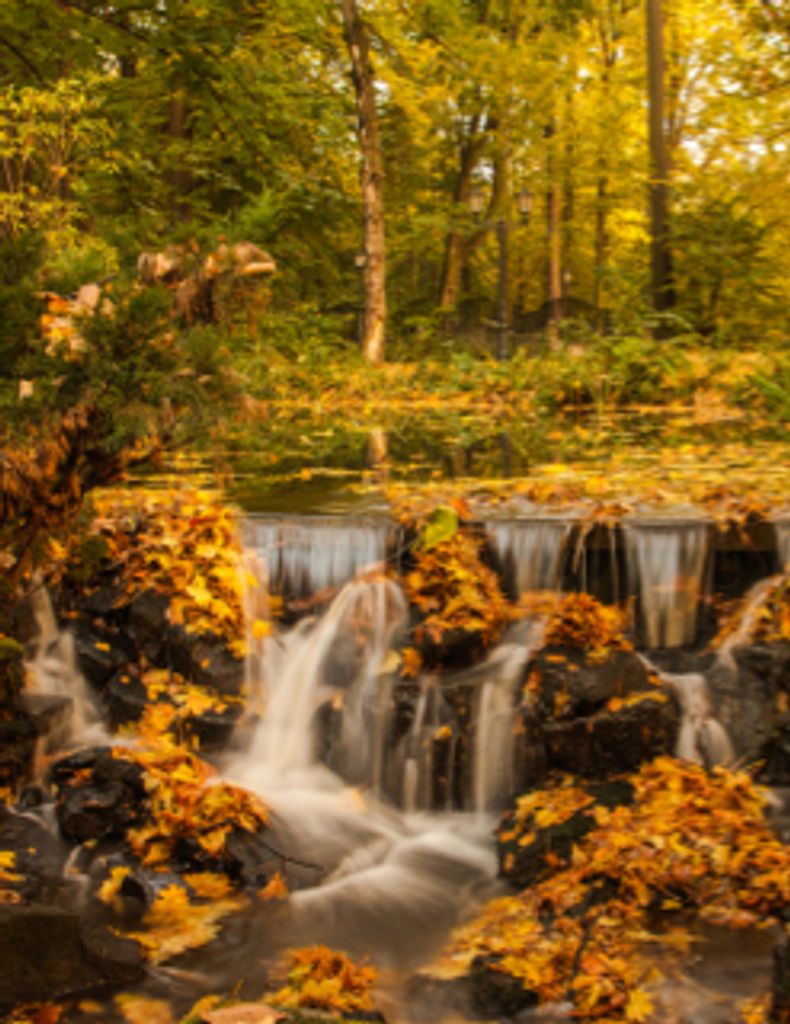 Stanley Warren Lester Profile Photo
