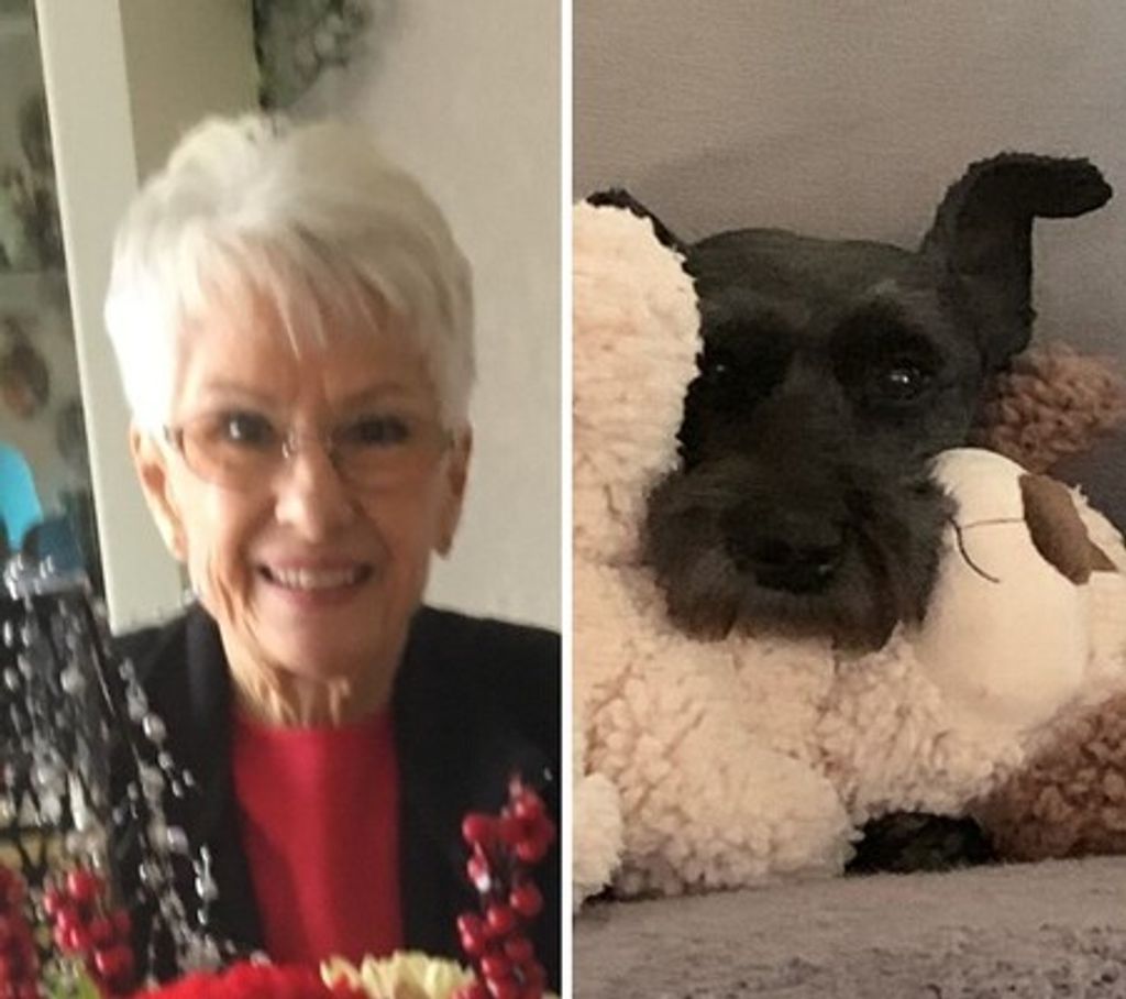 Diane Marie Harter Profile Photo