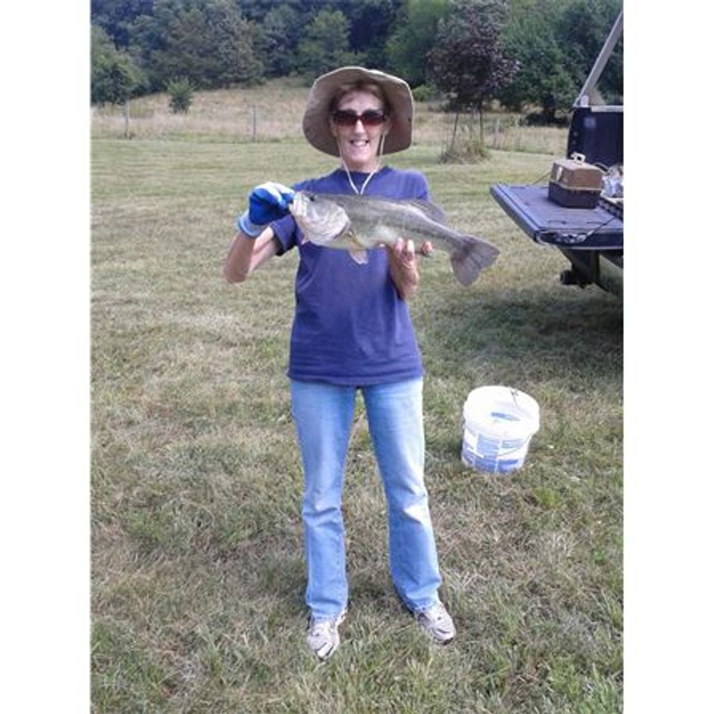 Linda Priegel Profile Photo