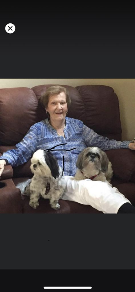 Virginia M. Kaczynski Profile Photo