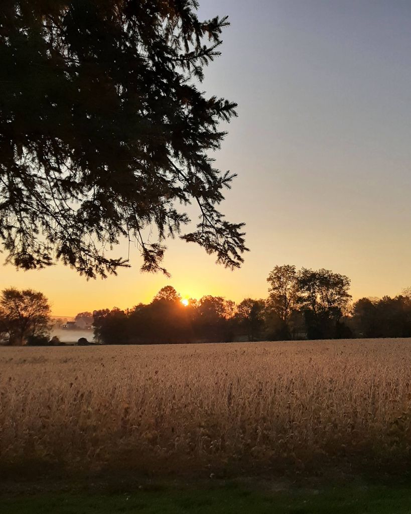 Ethel M. Sensenig Profile Photo