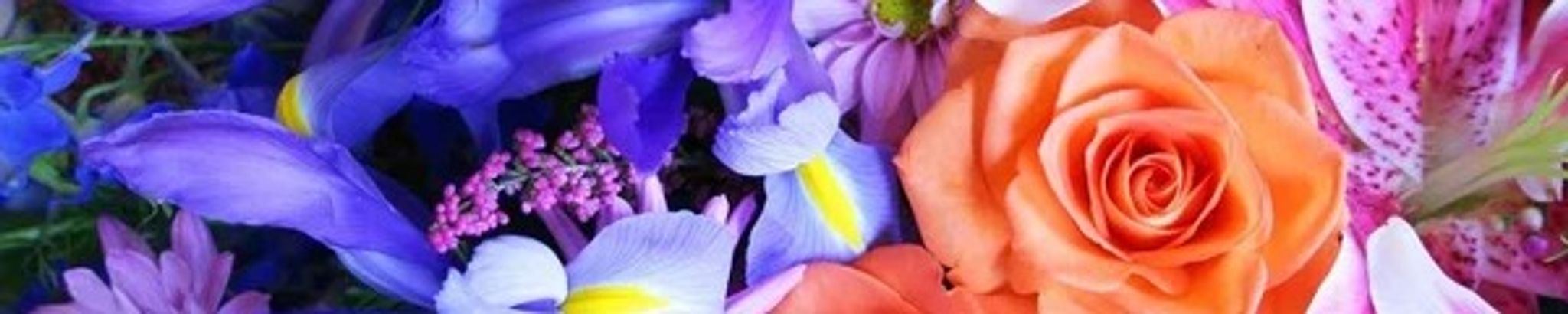 Cover photo for Maria Gandara's Obituary