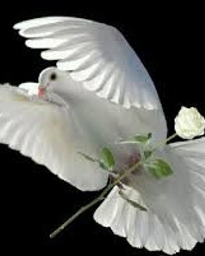 Betty Loyd "95" Profile Photo