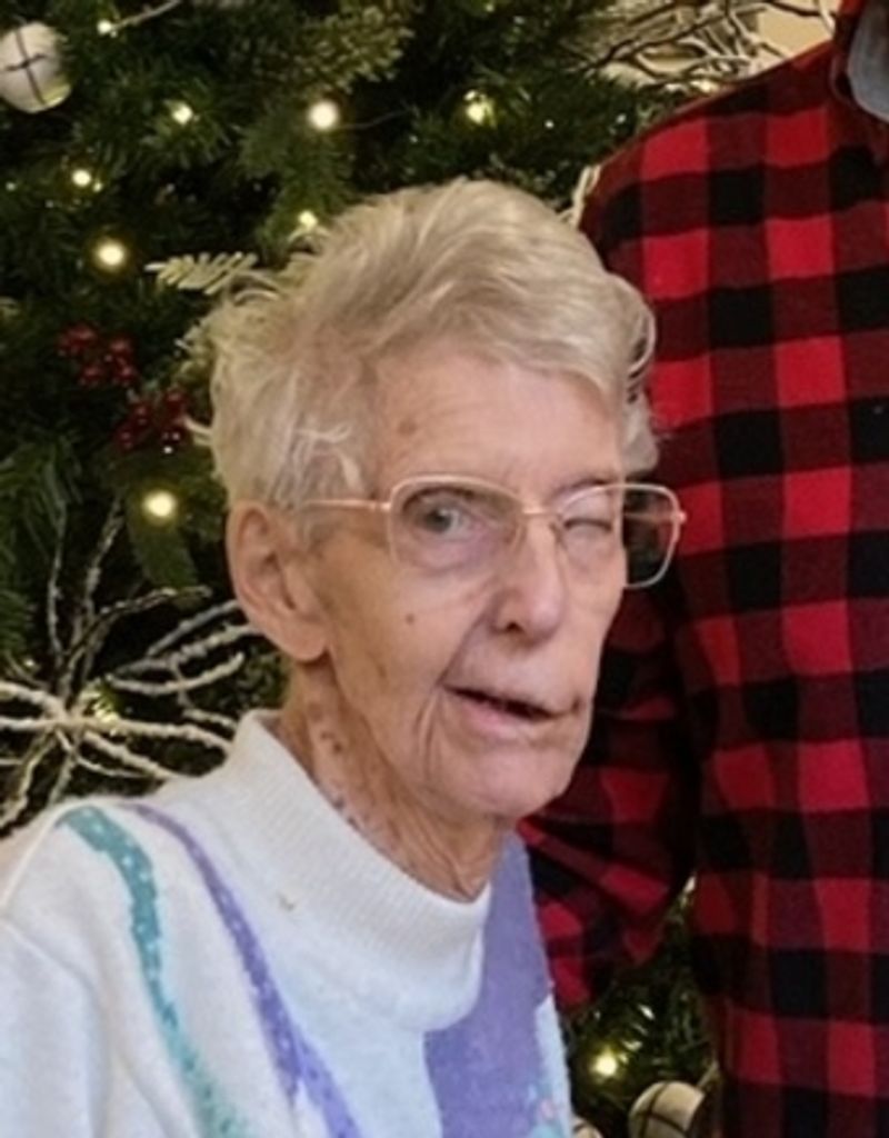 Nancy Lee Bacon