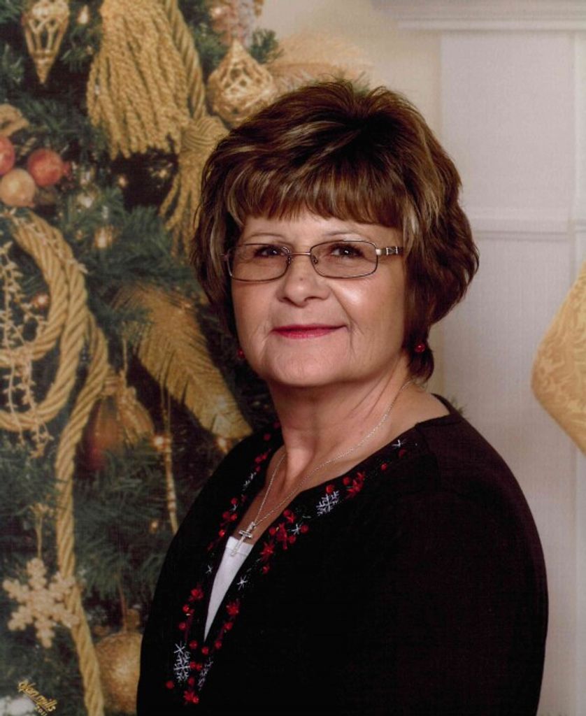 Barbra Ann (Welch)  Flint Profile Photo