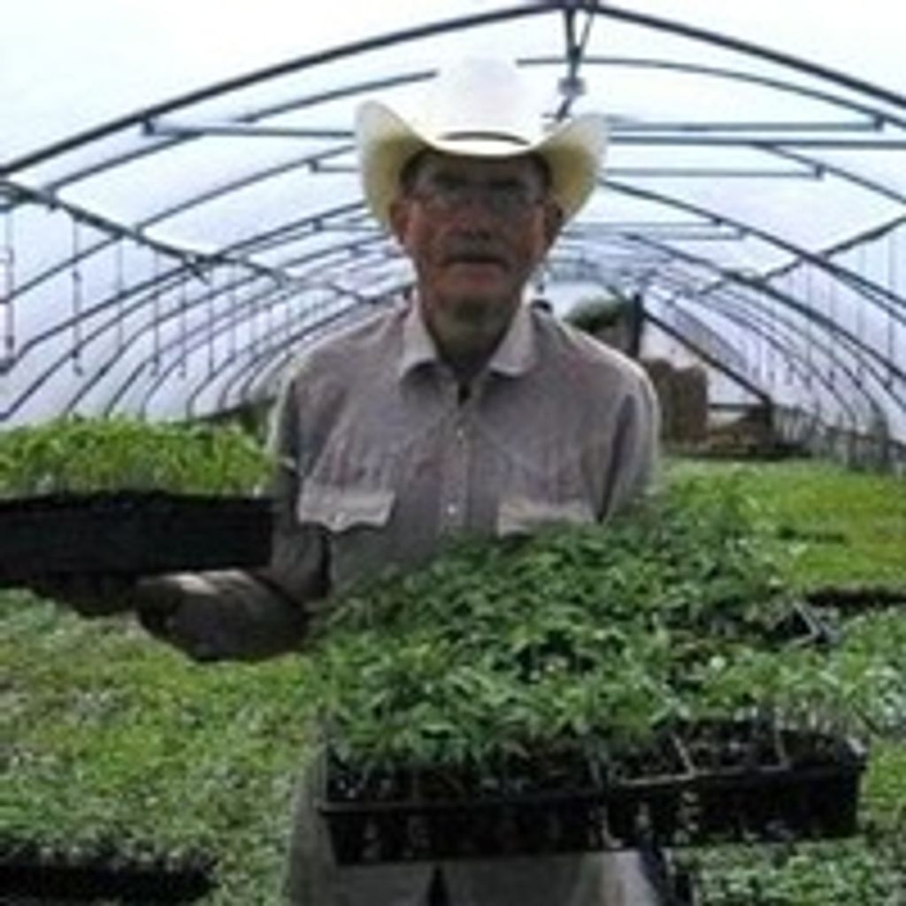 James Burns Profile Photo