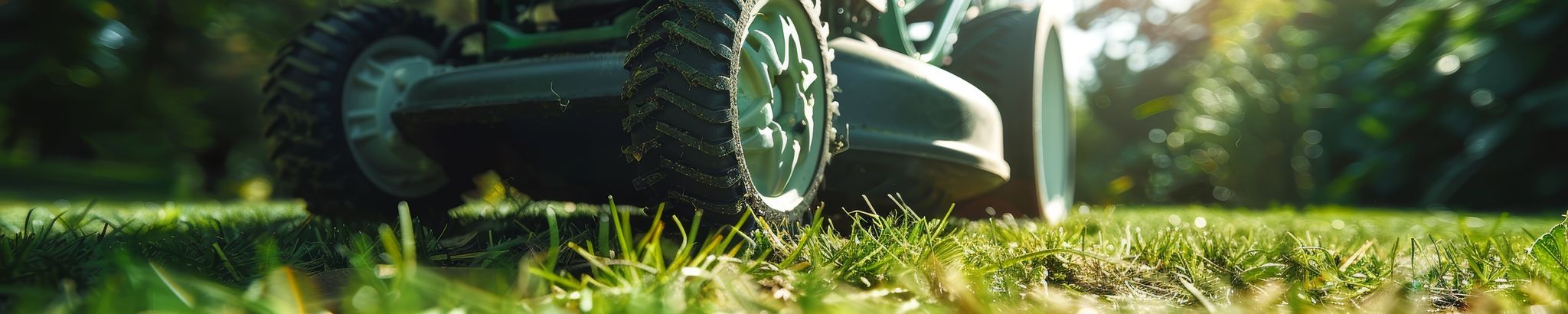 Cover for Boyd O’Neal Shelton's Obituary