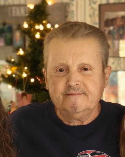 David Louis Parks's obituary image