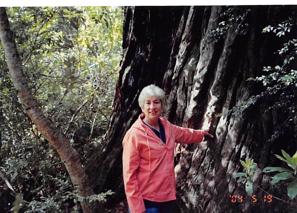 Kittye Alice Dortch Way Profile Photo