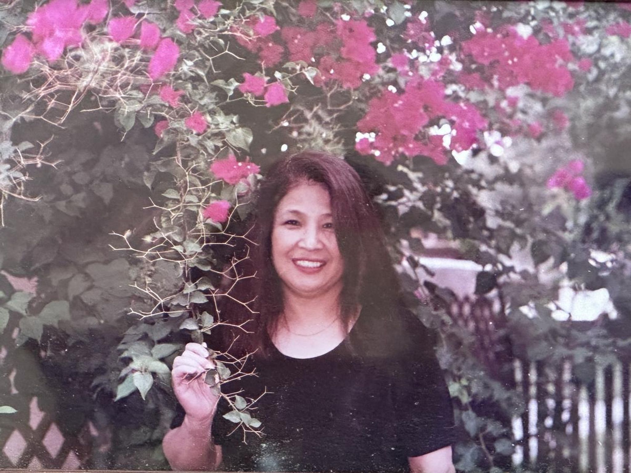 Kimiko Hashimoto Harman Obituary Oct 30, 2025 - Fukui Mortuary