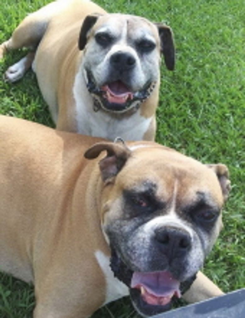 Diesel & Joker Baker