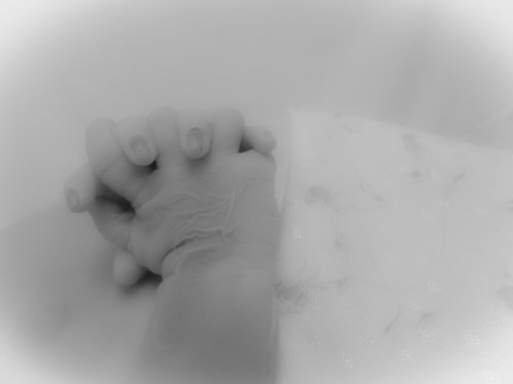 Evelynne Grace Vitela