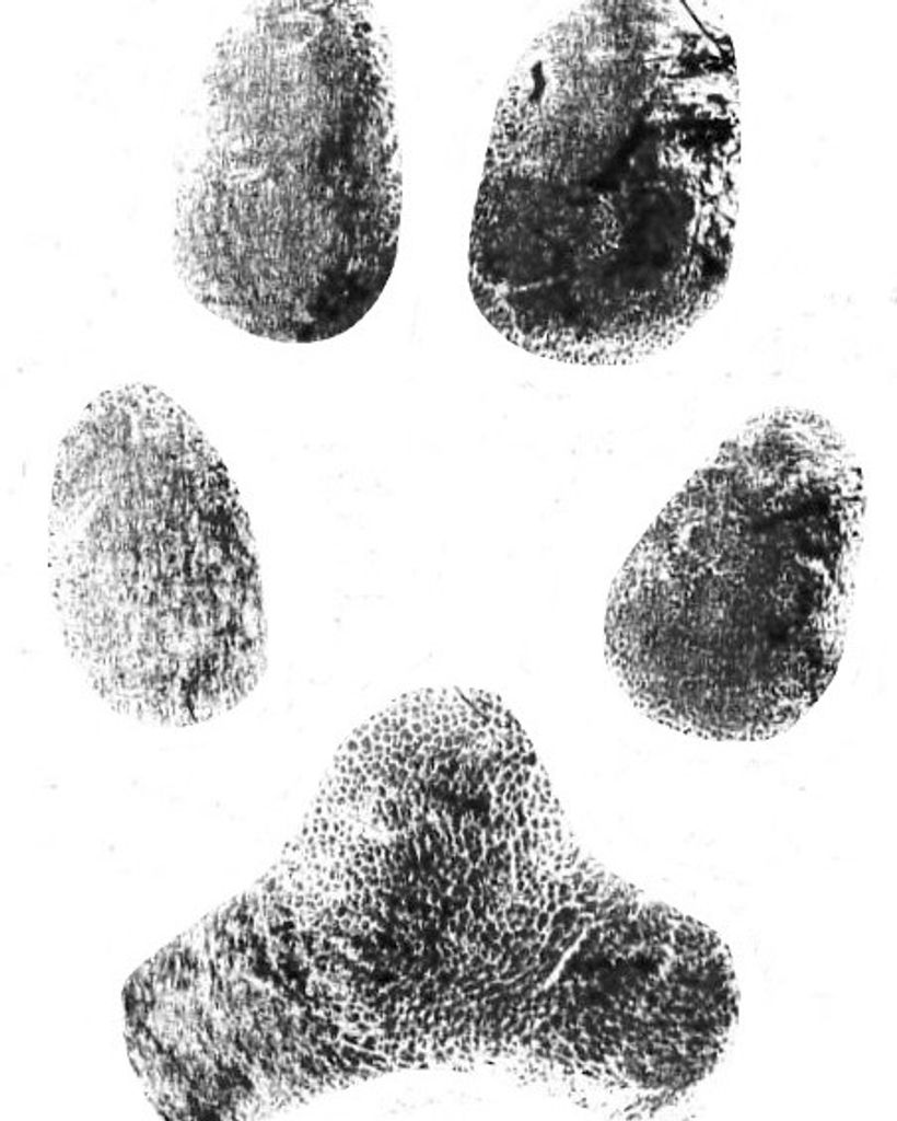 Luna Short Profile Photo