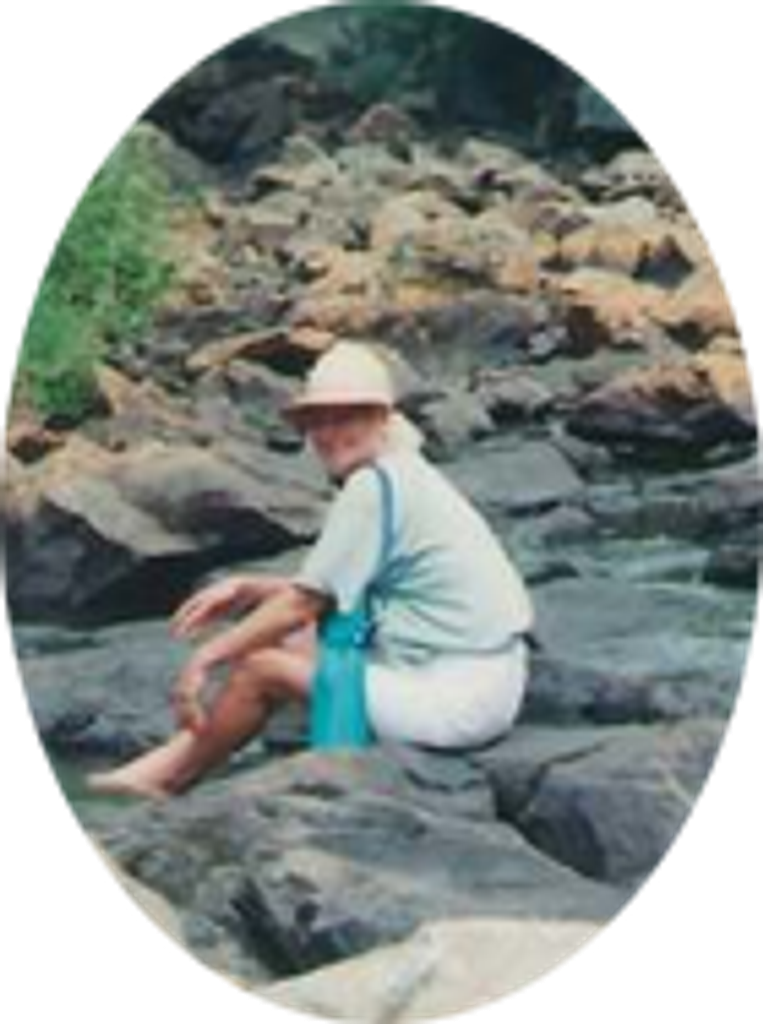 Ann Gaupholm