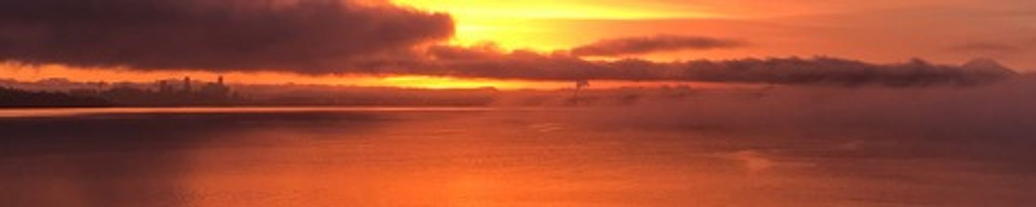 Cover for David Melville Prongay's Obituary