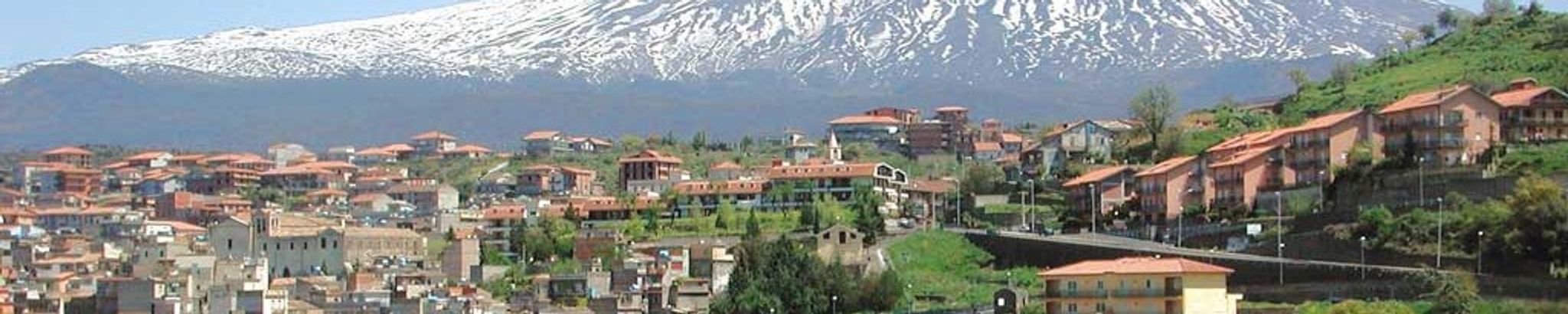 Cover for Domenico DiFiore's Obituary