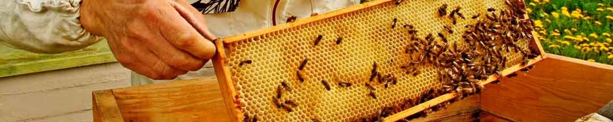 Cover for Robert Lee Wykle's Obituary