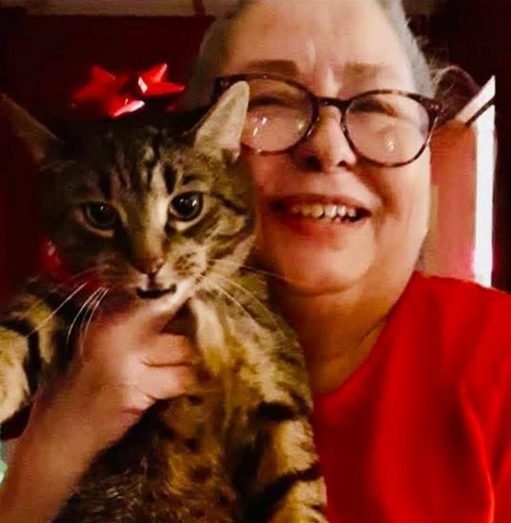 Karen Beth Cesare Profile Photo