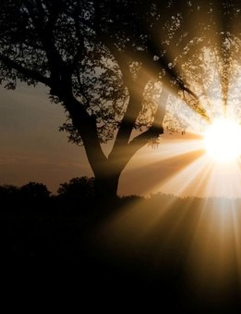 George Patterson Drury