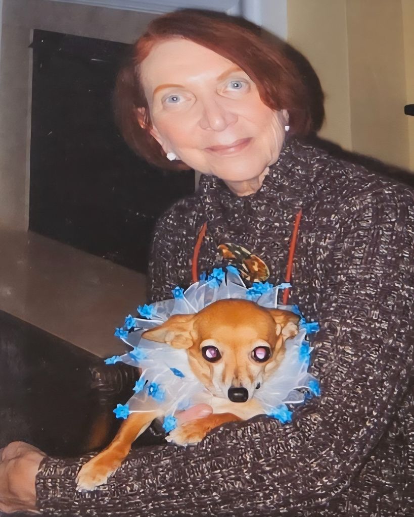 Phyllis Faden Herman Profile Photo