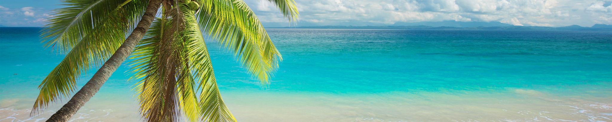 Cover for Anthony Cannon Rini's Obituary