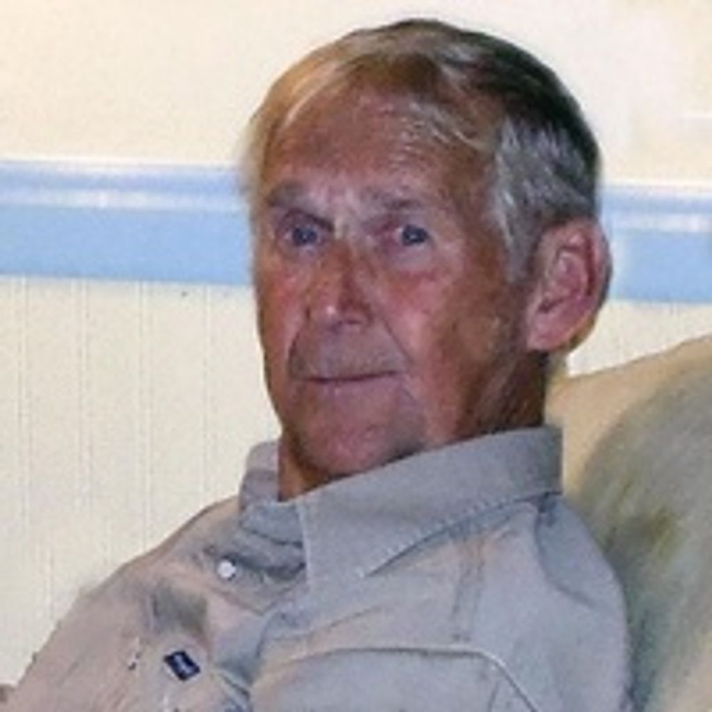 Albert Lars Johnson