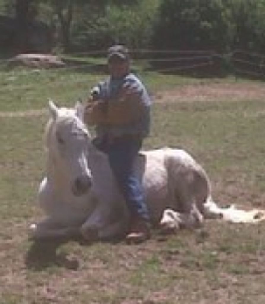 Donald Ledford Profile Photo