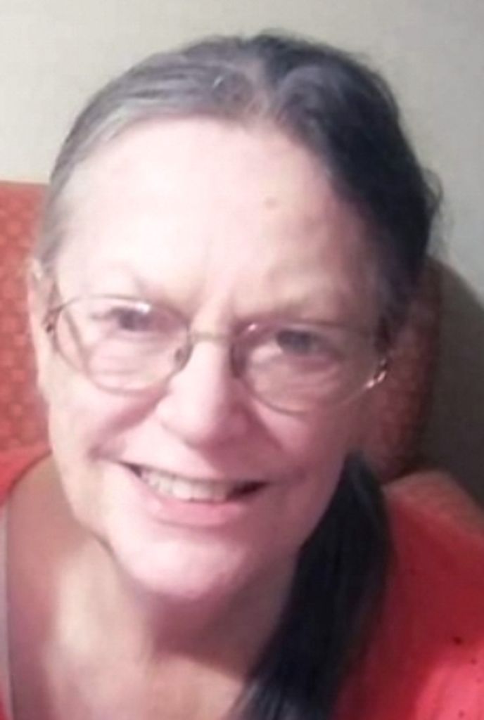 Carole Ann (Romine)  Stein