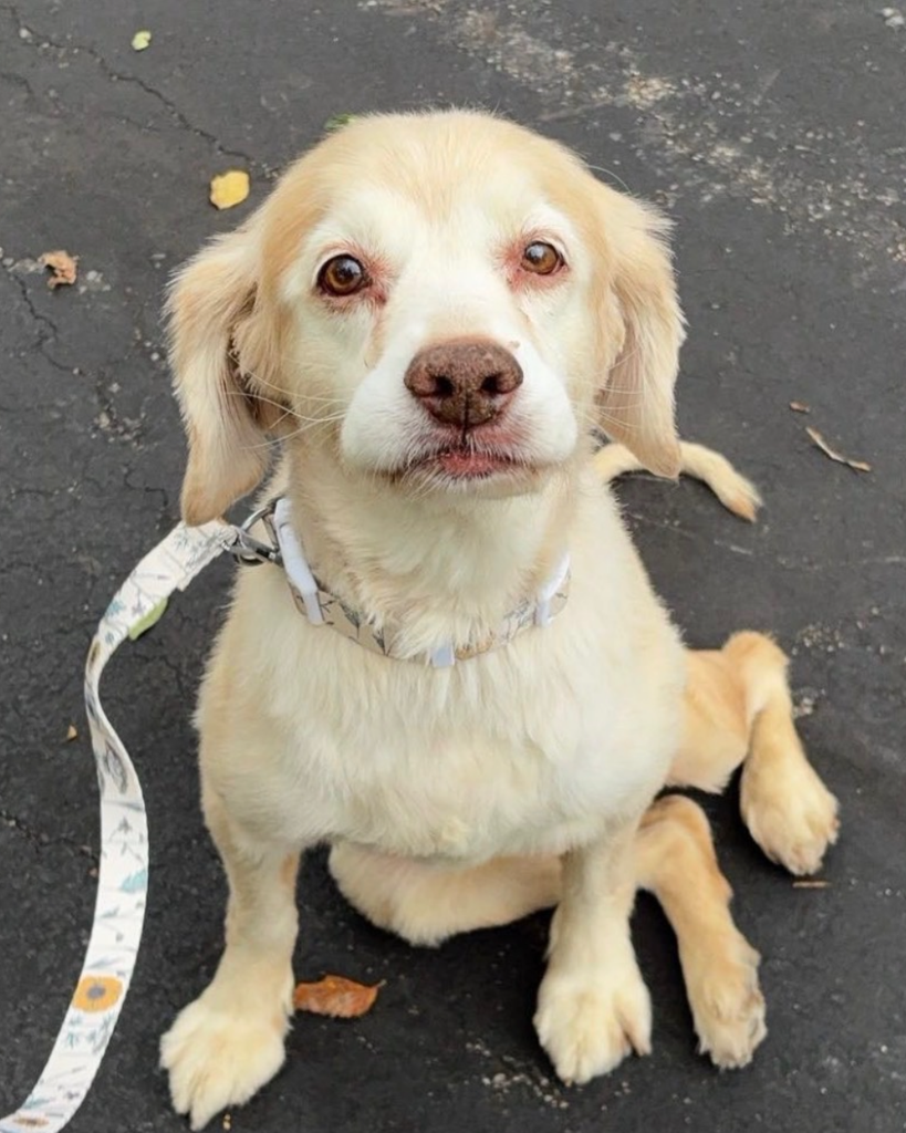 Lily Ann Marie Moore