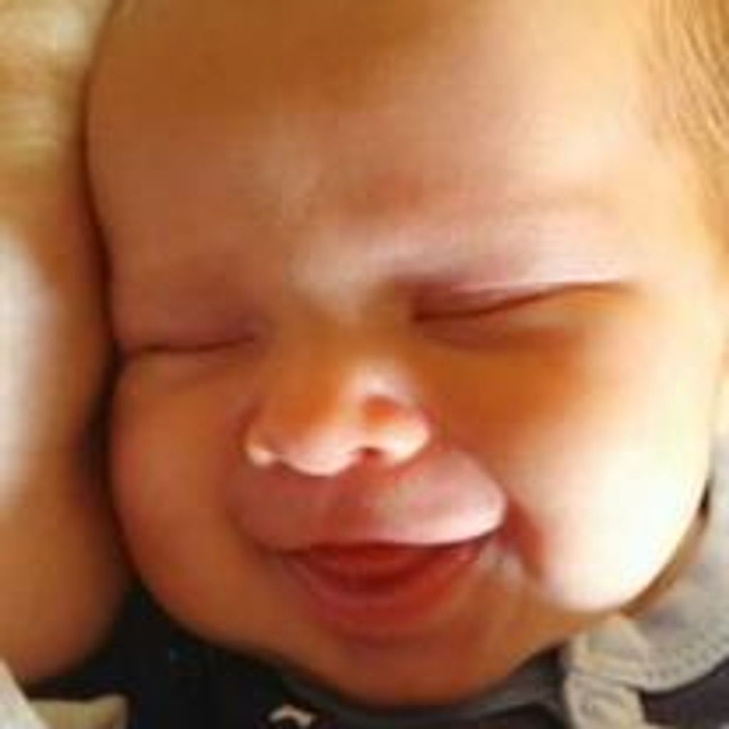 Raylan Lamb