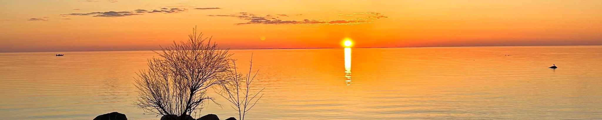 Cover for Michael "Mike" Lindholm's Obituary