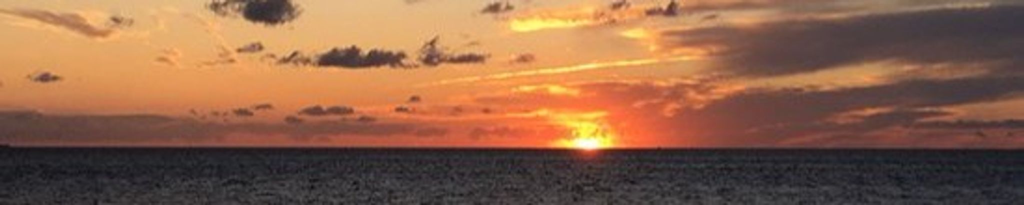 Cover photo for May Signe Neumann's Obituary
