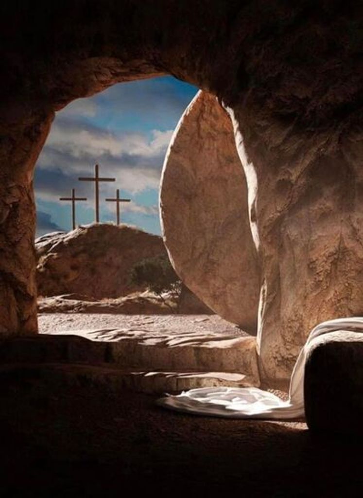 Elaine Allison Berrington Profile Photo
