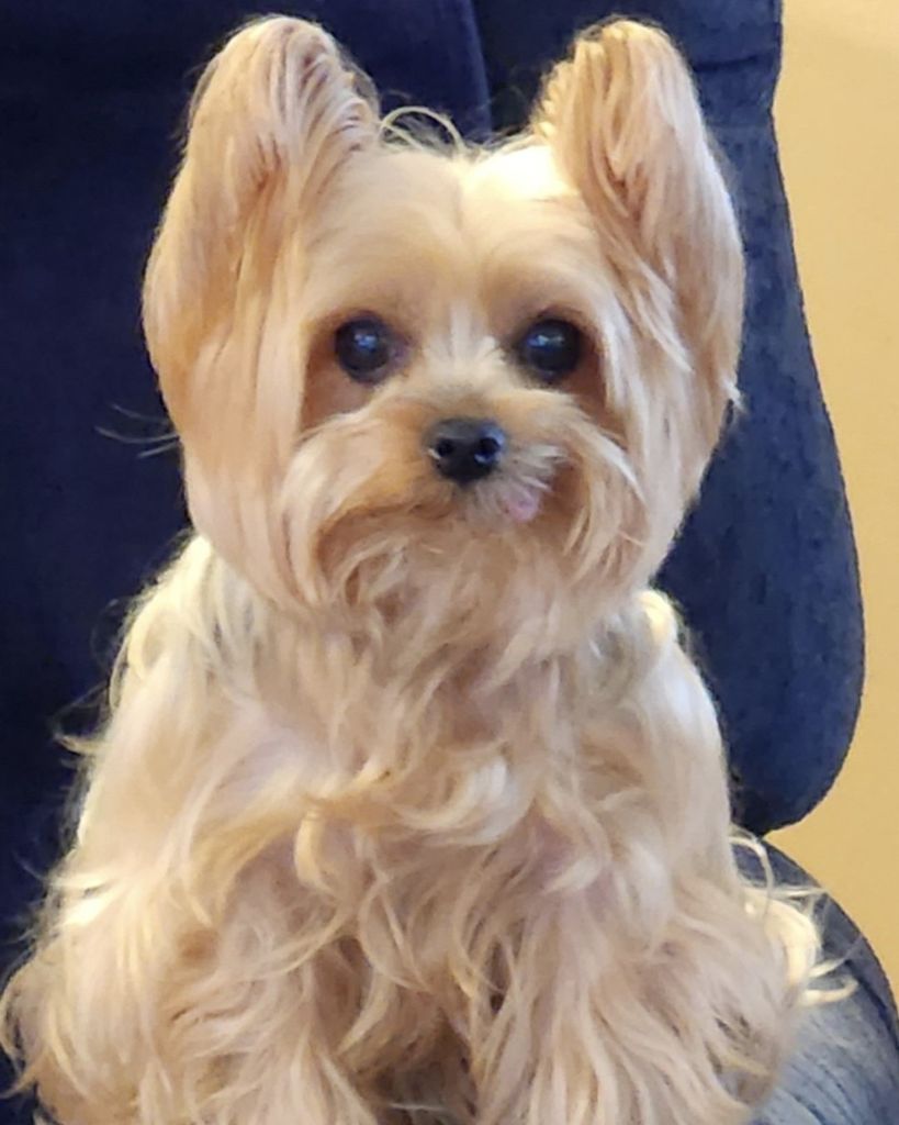 Lillie Mae Rodman Profile Photo
