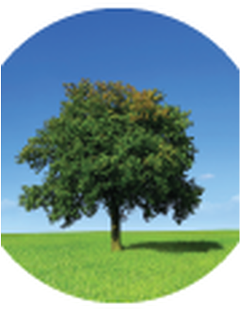 Deborah Lynne Adkison