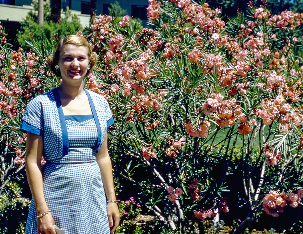 Janice Ruth Anchell Profile Photo