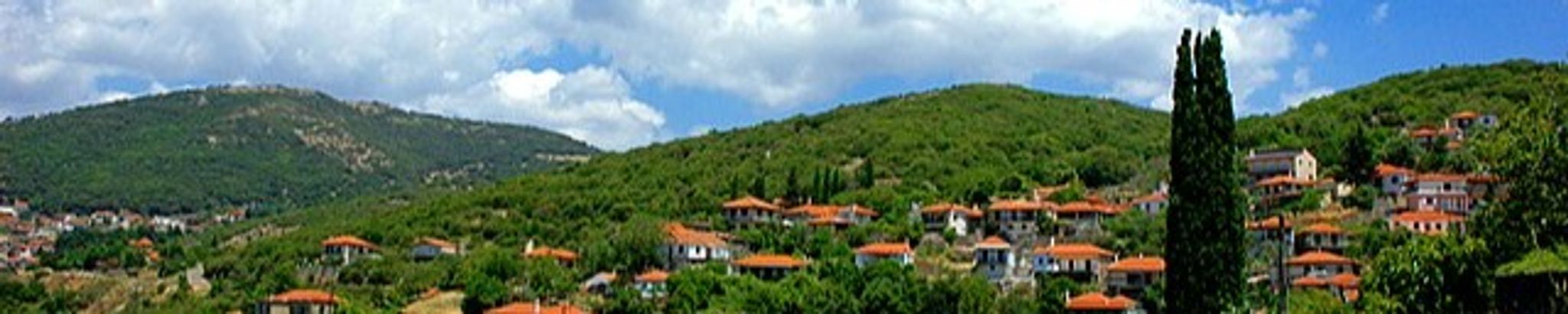 Cover photo for Angelis Vlahou's Obituary