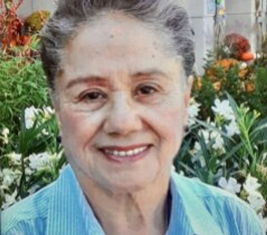 Irene Valdovino Andrade