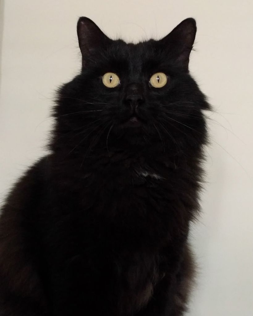 Siri Colyar Profile Photo