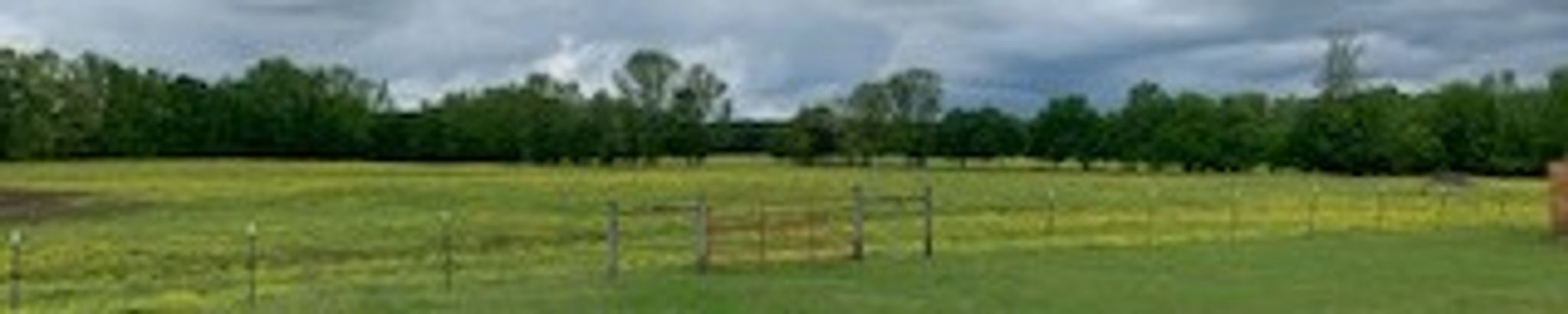 Cover photo for Douglas Little's Obituary