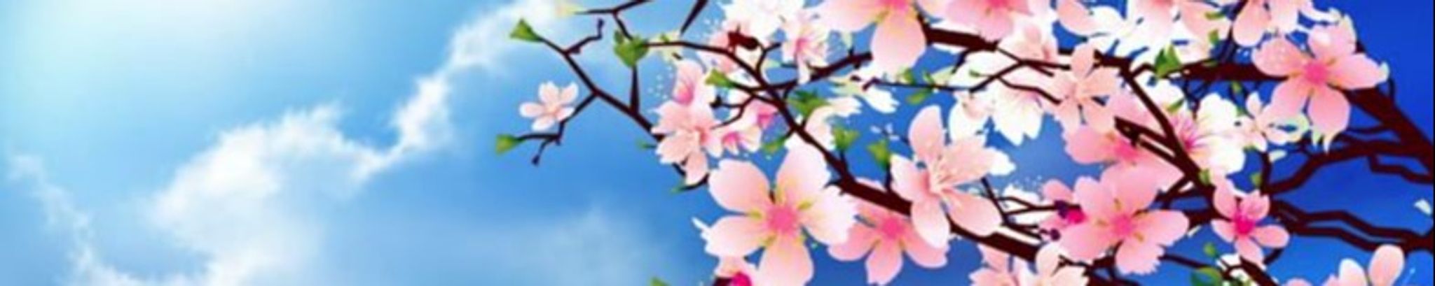 Cover photo for Donna Eloise Dalrymple's Obituary