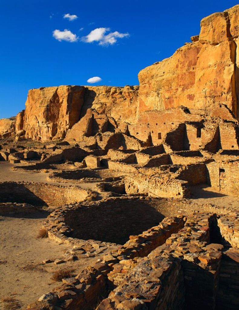 Mark Alan Poindexter Profile Photo