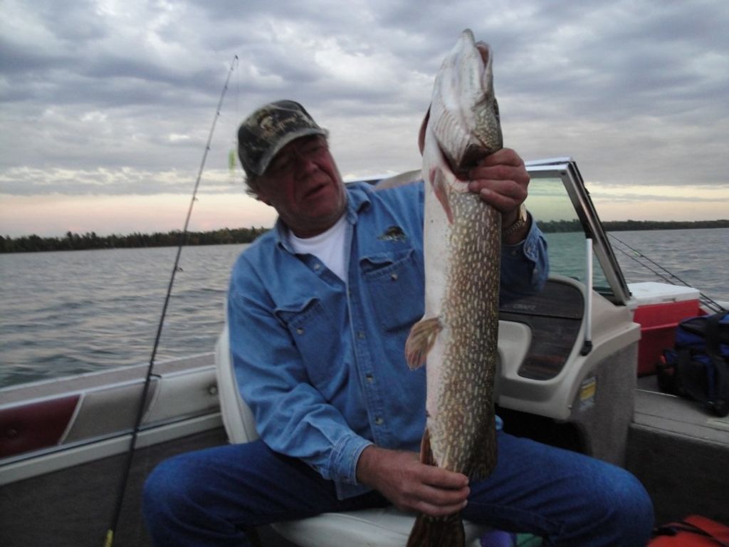 Robert "Bob" Carlson