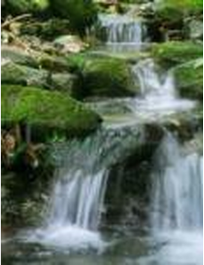 Mary Magalene Blanks